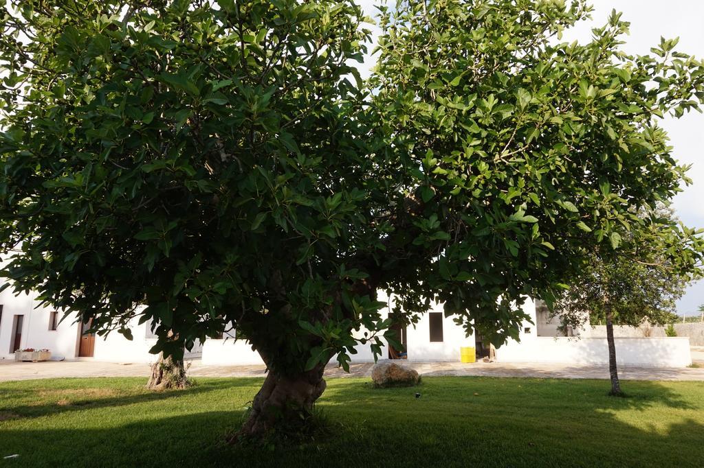 Masseria Pappo Βίλα Copertino Εξωτερικό φωτογραφία